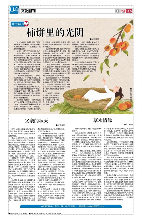 河北青年报2025年10月31日头版