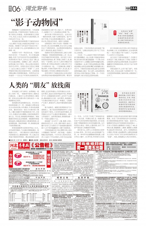 第A6版