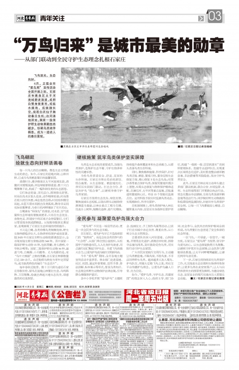 河北青年报2026年04月08日头版