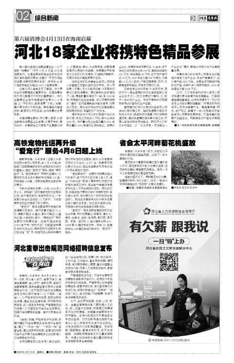 河北青年报2026年04月10日头版
