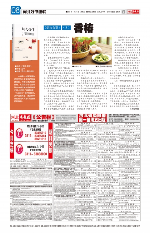 河北青年报2026年04月21日头版