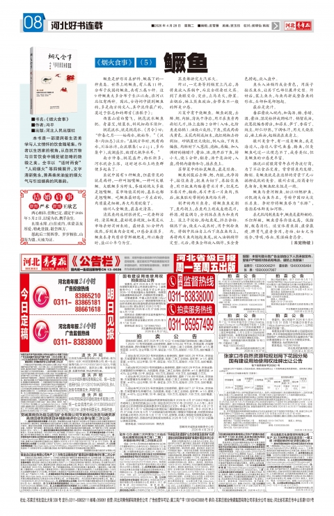 河北青年报2026年04月28日头版