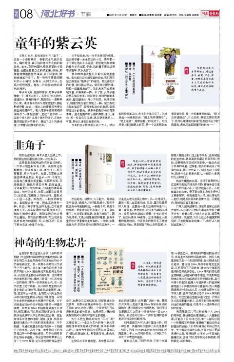 河北青年报2026年05月22日头版