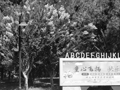 <br>          ■东环公园儿童乐园西侧的紫薇盛开<br><br>        