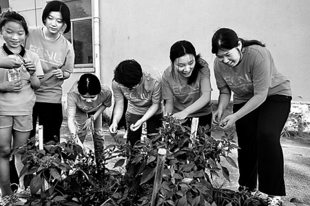 <br>          ■在浙江省诸暨市东和乡，华东师范大学的志愿者与外来务工人员子女在爱心菜园里采摘<br><br>        